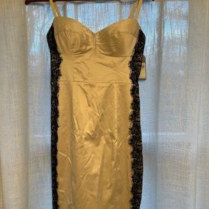 Satin/lace bodycon dress